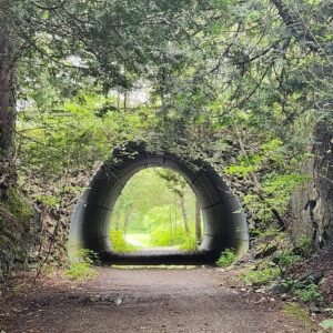 Route verte 1 - Quebec - 2