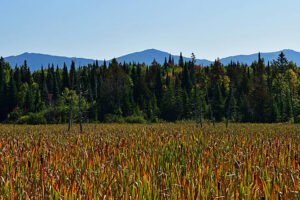 NH Rail Trail - Property of Trail Link 1